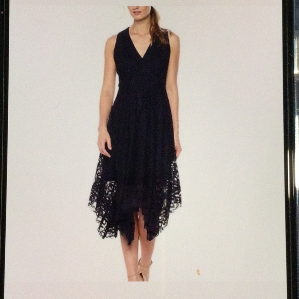 NEW Navy Taylor Lace Dress Size 4 - Picture 10 of 15